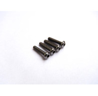  Titanium Hex Socket Button Head Screw M2x10 - 48017 - HIRO SEIKO