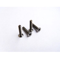  Titanium Hex Socket Flat Head Screw M2x10 - 48021 - HIRO SEIKO