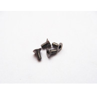  Titanium Hex Socket Flat Head Screw M2x4 (4) - 48111 - HIRO SEIKO