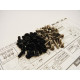 X4'24 Titan/Alum Hex Socket Screw Set Noir - HIRO SEIKO - 48924