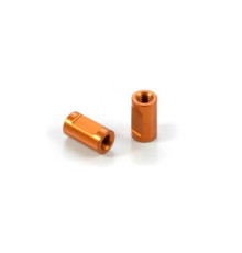 ALU BRACE POST FOR ARS 3x5x9MM (2) - 302201-O - XRAY