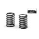 XRAY SPRING-SET C 2.2 (2) - 308373 - XRAY