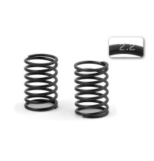 XRAY SPRING-SET C 2.2 (2) - 308373 - XRAY