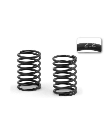 XRAY SPRING-SET C 2.2 (2) - 308373 - XRAY
