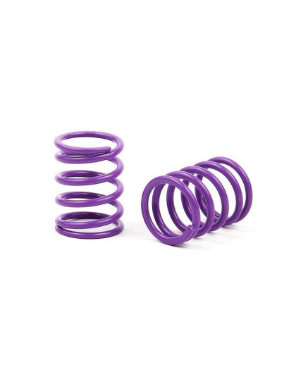 XRAY SPRING-SET C 5.0 - MEDIUM - FRONT (2) - 338184 - XRAY