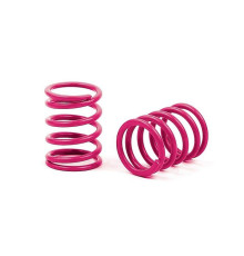 XRAY SPRING-SET C 5.4 - MEDIUM-MEDIUM HARD - FRONT (2) - 338185 - XRA