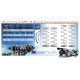 XRAY LONG PROGRESSIVE SPRINGS - MEDIUM-HARD - 4 STRIPES (2) - 358281 
