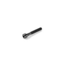 XB4 Vis de réglage diff a bille - XRAY - 365060