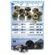 ALU PINION GEAR - HARD COATED 24T / 48 - 365724 - XRAY