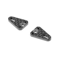 X1 CARBON PLATE FOR SIDE LINK WITH 2 PINS (2) - XRAY - 371188