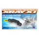 X1 GRAPHITE FRONT ARM BRACE - 2.5MM - 372087 - XRAY