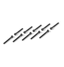 HEX SCREW SOCKET HEAD CAP M3x25 (10) - 908325 - XRAY