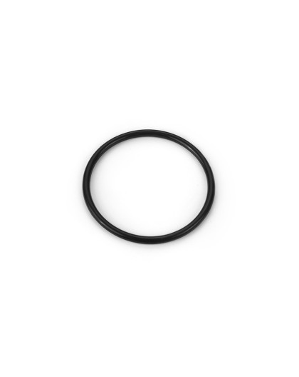 O-RING FOR VACUUM PUMP 50x4 (1) - 203050 - HUDY