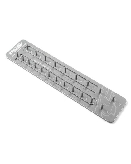 TEAM CORALLY - PINION CADDY 48DP - 21 PINIONS - 3.17MM - C-16206 - CO