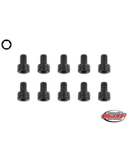 TEAM CORALLY - STEEL SCREWS M2 X 16MM - HEX SOCKET HEAD - 10 - C-3002