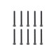 TEAM CORALLY - STEEL SCREWS M2 .5 X 20MM - HEX SOCKET HEAD - - C-3003