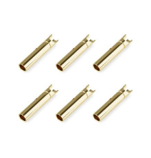 Prise femelle 2.0mm - 6 pcs - CORALLY - C-50160