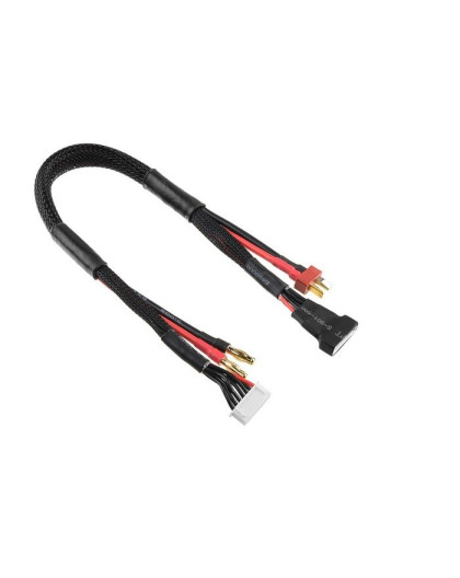 Câble 4mmGold-Tplug + 6SXH-6SXH - CORALLY - C-50284