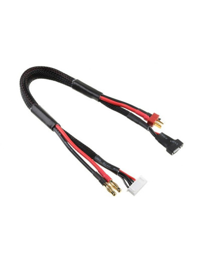 Câble 4mmGold-Tplug + 6SXH-4SXH - CORALLY - C-50283