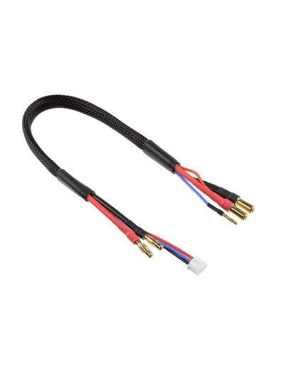 Câble 4mmGold-2SXH 2mmGold-4mmGold - CORALLY - C-50289