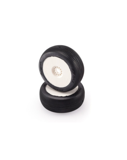 Pair of tyres AMAZZONIA White Mounted - HOT RACE