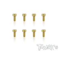 Screws GOLD CHC 2.5x6mm (8) - T-WORKS - GSS-2506H