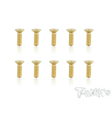 Vis Acier Traitées GOLD FHC 3x10mm (10) - T-WORKS - GSS-310C