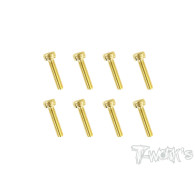 Screws GOLD CHC 3x14mm (10) - T-WORKS - GSS-314H