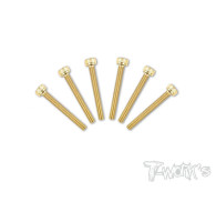 Screws GOLD CHC 3x22mm (6) - T-WORKS - GSS-322H