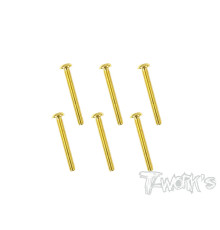 Vis Acier Traitées GOLD BHC 3x24mm (6) - T-WORKS - GSS-324B