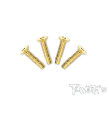 Vis Acier Traitées GOLD FHC 4x20mm (4) - T-WORKS - GSS-420C