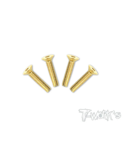 Screws GOLD FHC 4x25mm (2) - T-WORKS - GSS-425C