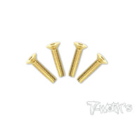 Screws GOLD FHC 4x25mm (2) - T-WORKS - GSS-425C