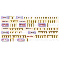Gold Steel UFO Screw Set 117pcs Xray X4 2024 - T-WORKS - GSSU-X4'24