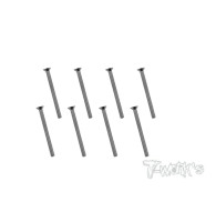 Screws NICKEL FHC 3x20mm (6) - T-WORKS - NSS-325C