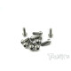 Vis titane 3x8 BHC (10) - T-WORKS - TSS-308B