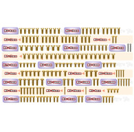 Gold Steel Screw Set 161pcs. (For Xray XB8'25) - T-WORKS - GSS-XB8'25