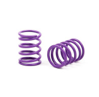 XRAY SPRING-SET C 5.0 - MEDIUM - FRONT (2) - 338184 - XRAY