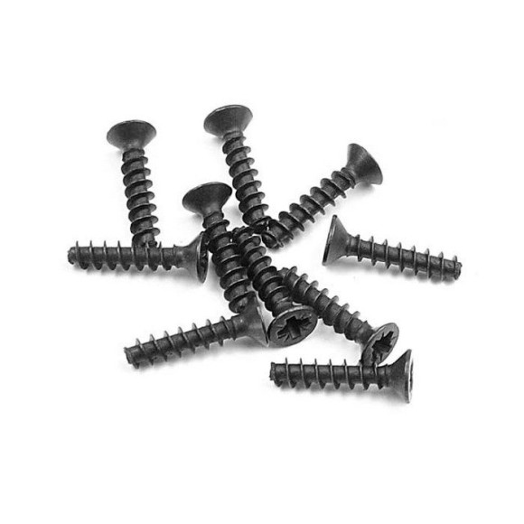 SCREW PHILLIPS FH 2.5x12  (10) - 906262 - XRAY