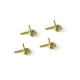 4-SHOE CLUTCH SPRINGS - GOLD - SOFT (4) - 358480 - XRAY