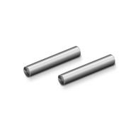 TITAN PIN 3x20 (2) - 980320-T - XRAY