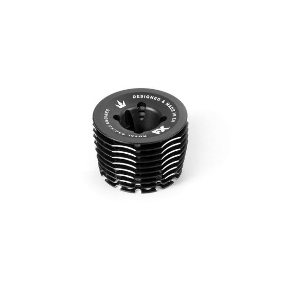 ENGINE HEAD - 10 RIBS - FOR SEALED COMBUSTION CHAMBER - 655004 - FX