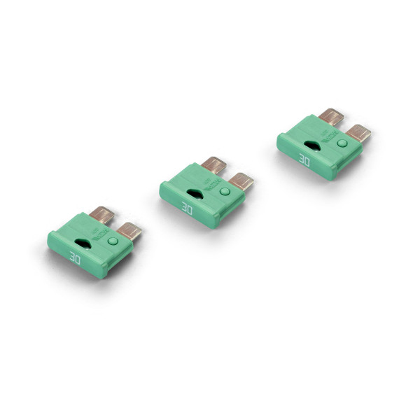 Primary Fuse 30A (3) - HUDY - 102266