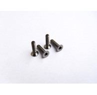  Titanium Hex Socket Flat Head Screw M2x8 - 48020 - HIRO SEIKO