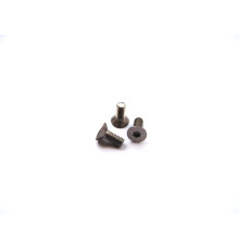  Titanium Hex Socket Flat Head Screw M4x10 - 48062 - HIRO SEIKO