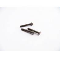  Titanium Hex Socket Flat Head Screw M3x22 (2) - 48087 - HIRO SEIKO