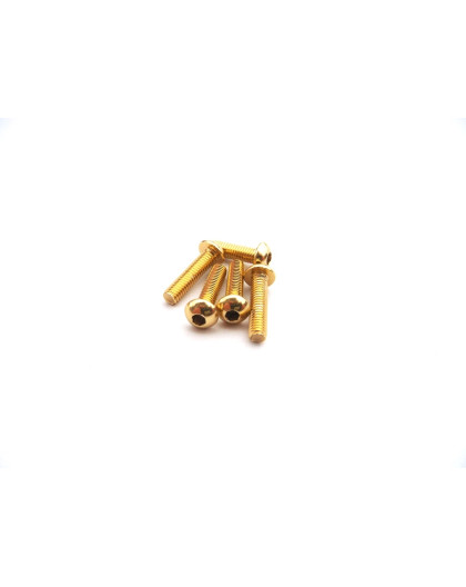  7PX Light Weight Screw Set [Gold] - 48222 - HIRO SEIKO