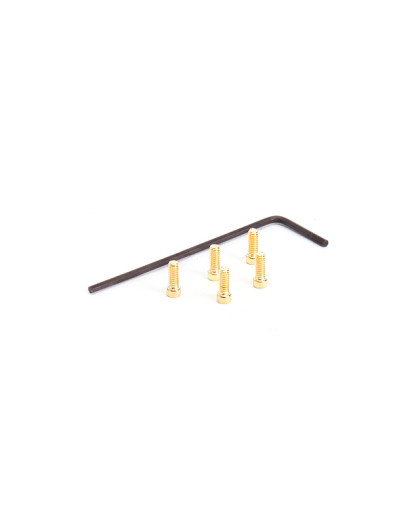  M2x5 Cap Screw Set (5 pcs) [Gold] - 69094 - HIRO SEIKO