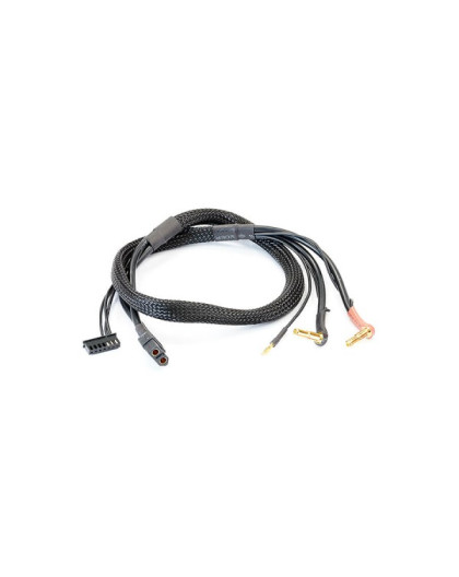 LIPO BALANCE LEAD XT60 (60cm) w/4+5MM BATT PLUG - CENTRO - C0360B