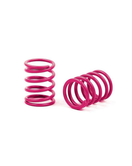 XRAY SPRING-SET C 5.4 - MEDIUM-MEDIUM HARD - FRONT (2) - 338185 - XRA